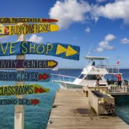 Bonaire, un petit coin de paradis