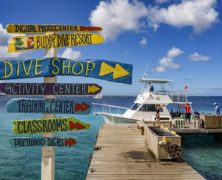 Bonaire, un petit coin de paradis